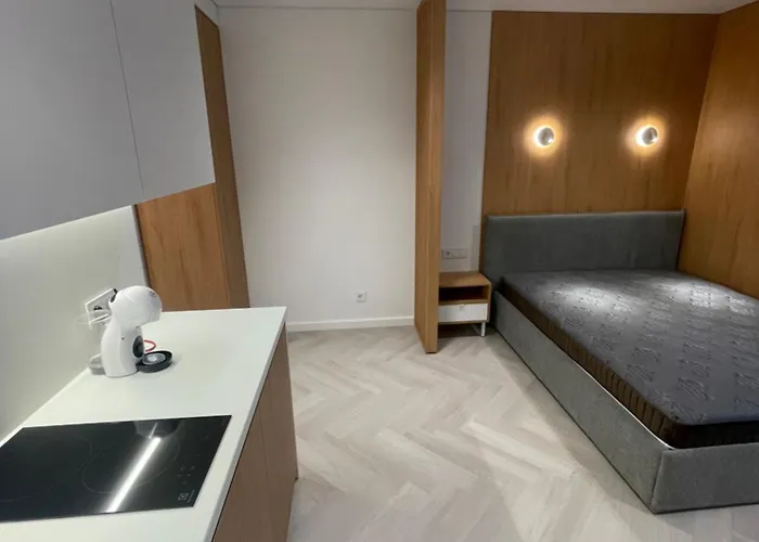 15 New Airport Lejlighed Vilnius