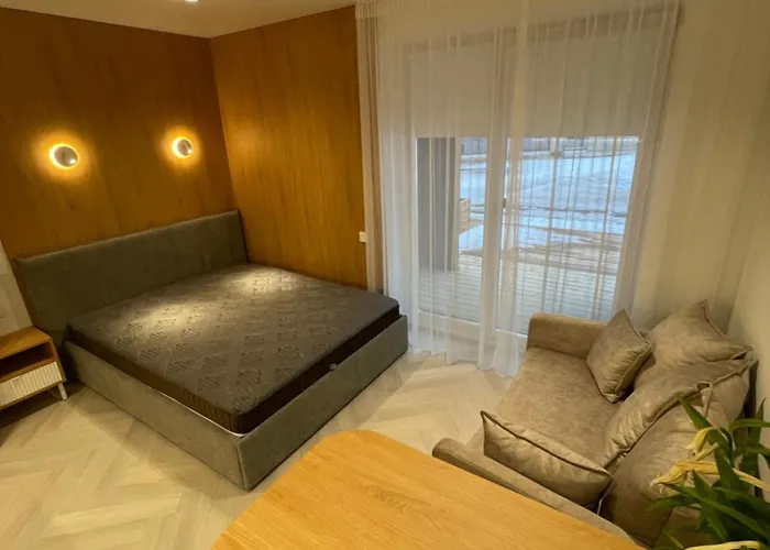 15 New Airport アパート ヴィリニュス